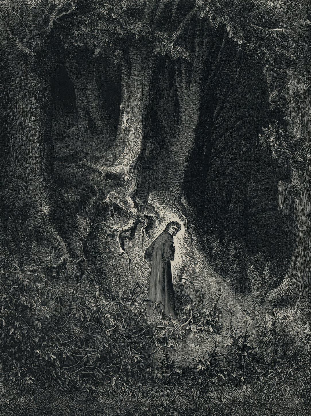 Dante among towering trees in a dark forest, adapted from Gustave Doré's engraving